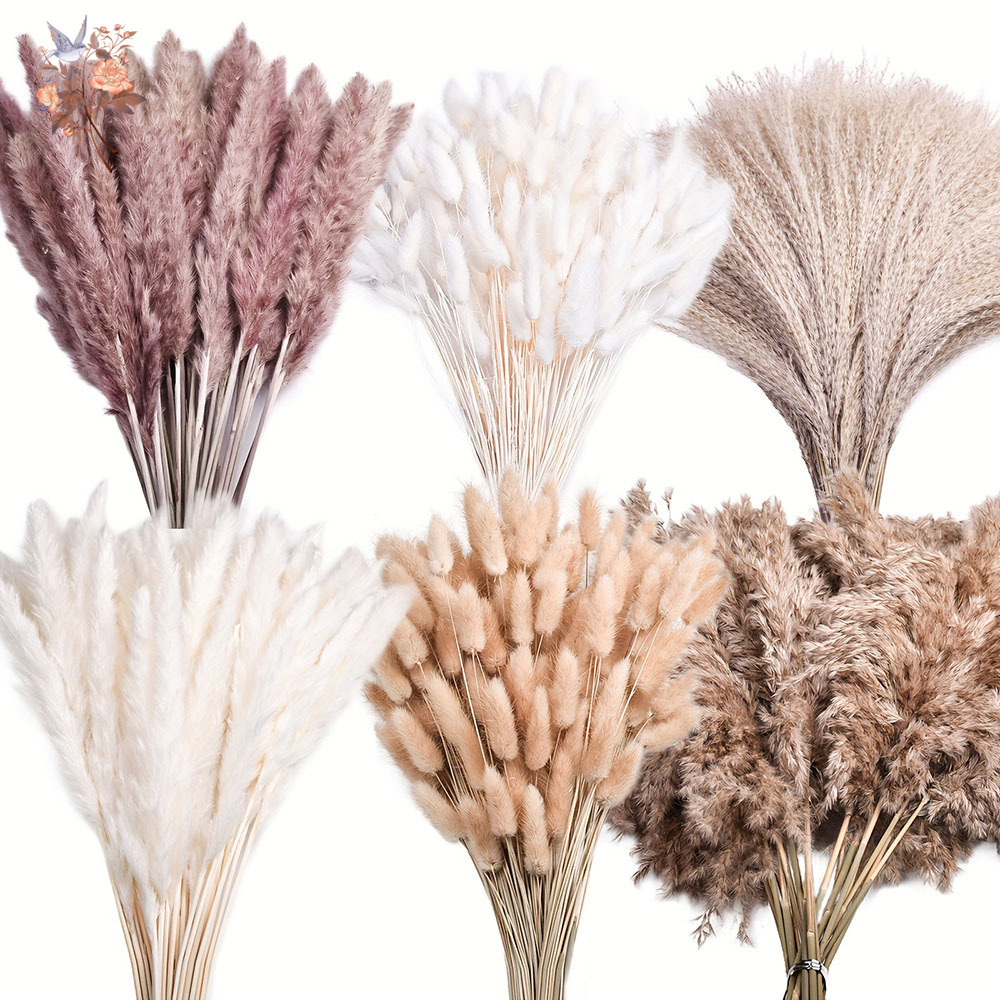 Pampas Grass Decor - 320 pièces de fleurs séchées mélangées