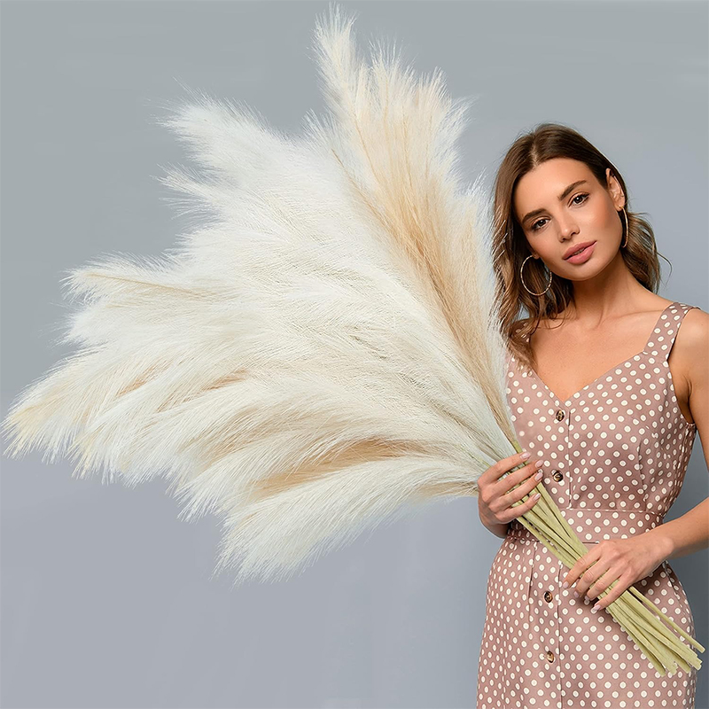 Bouquet d'herbe de Pampa moell - Pampas Grass Decor avis et prix